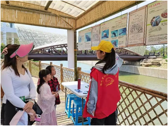 1620458419321860.png 3.png